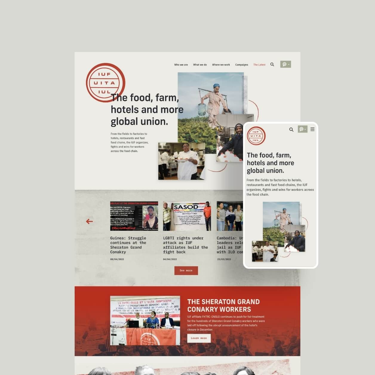 https://optimadesignch-looek.projectbeta.co.uk/assets/images/common/IUF_mobile.jpg